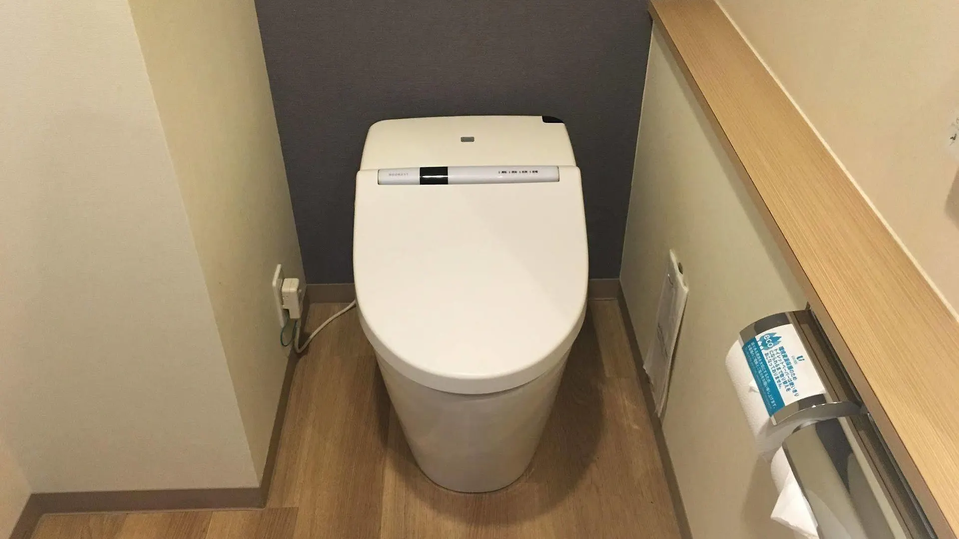 Via Inn Akihabara Tokyo Hotel